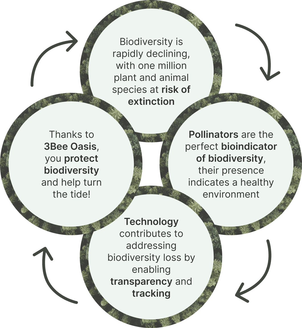 3Bee's <b>Biodiversity Oases</b> are not simply green areas, but carefully designed ecosystems that promote environmental conservation.<br/>Thanks to 3Bee's technology, the Oases connect nature and people with a strong environmental effect.<br/><br/>By choosing to adopt an Oasis, you will not only contribute to <b>protect biodiversity</b>, but also join a network of conscious people actively acting for a more sustainable future. Be part of the change: adopt an Oasis and connect your commitment to the environment with <b>the technological innovation</b> of 3Bee.