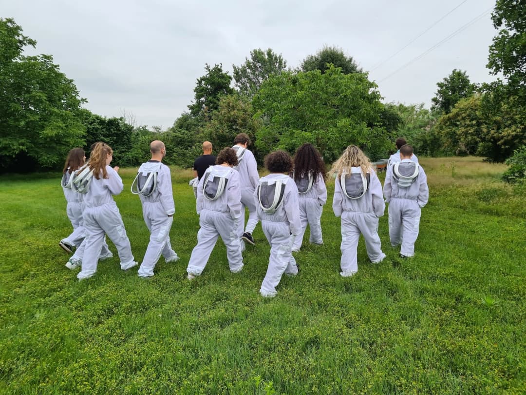 A 3Bee beekeeper inspecting a high-tech hive.