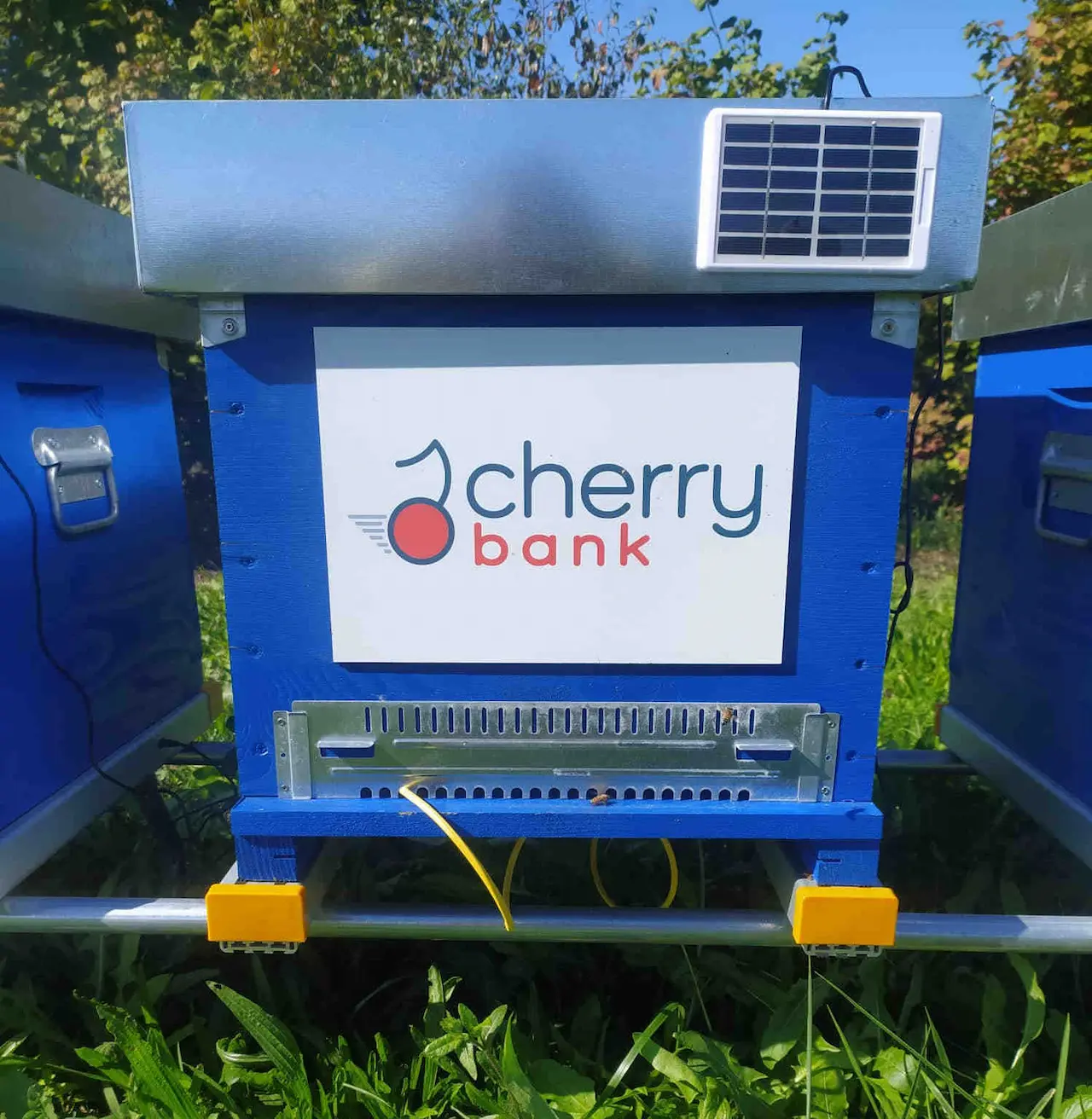 cherry-bank