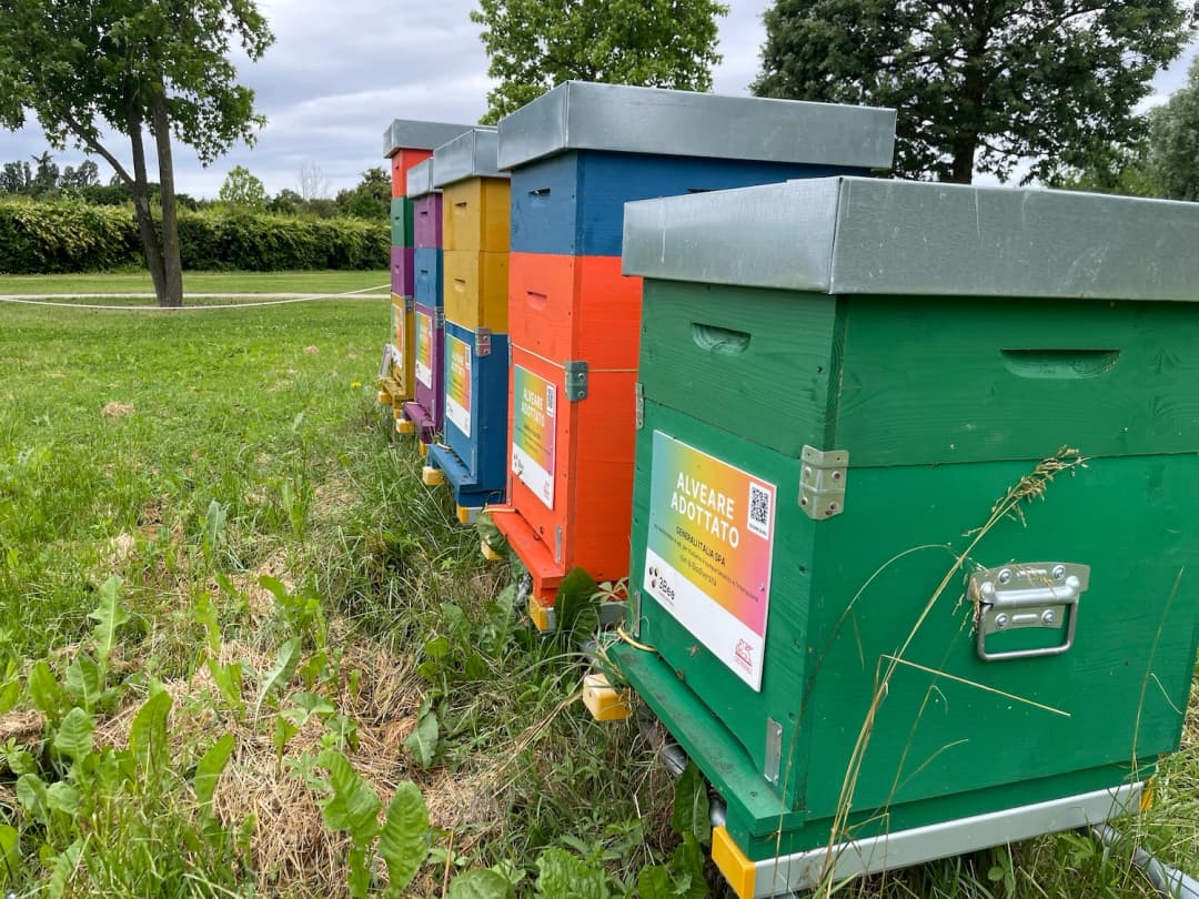 3Bee customized hives for a corporate project in a flowering meadow.