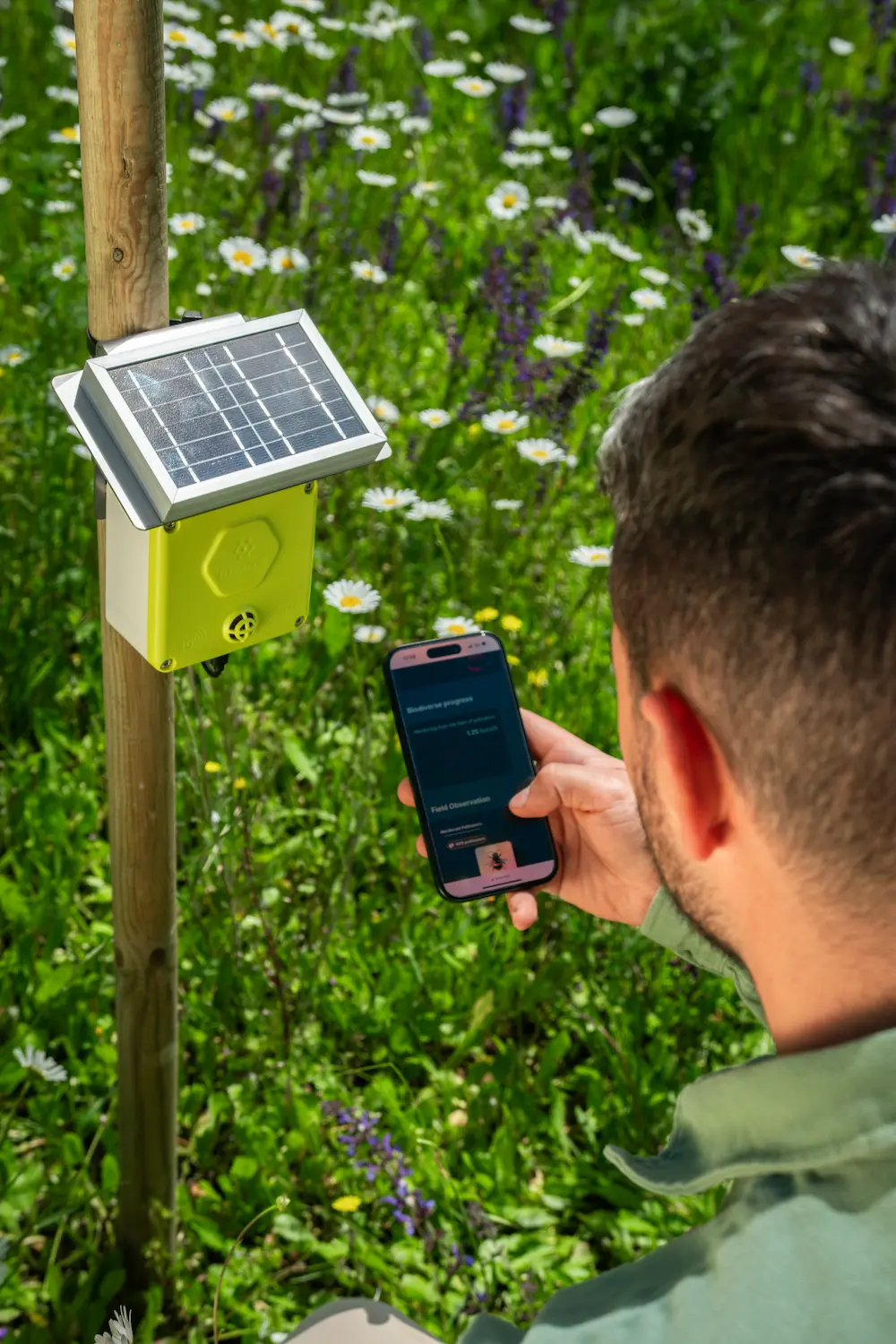 Biene auf einer Blume.