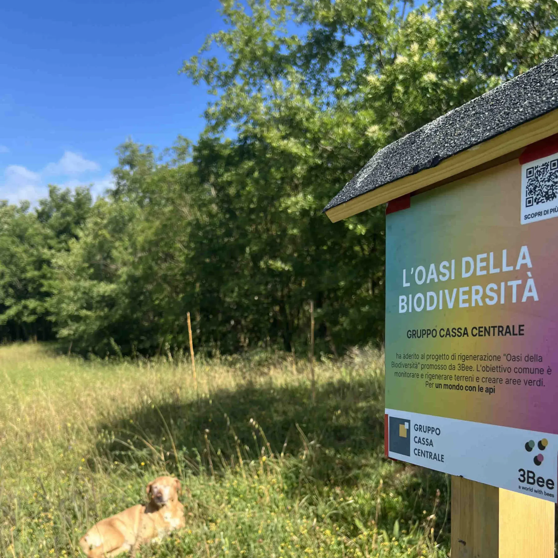 caseStudies.items.10.alt