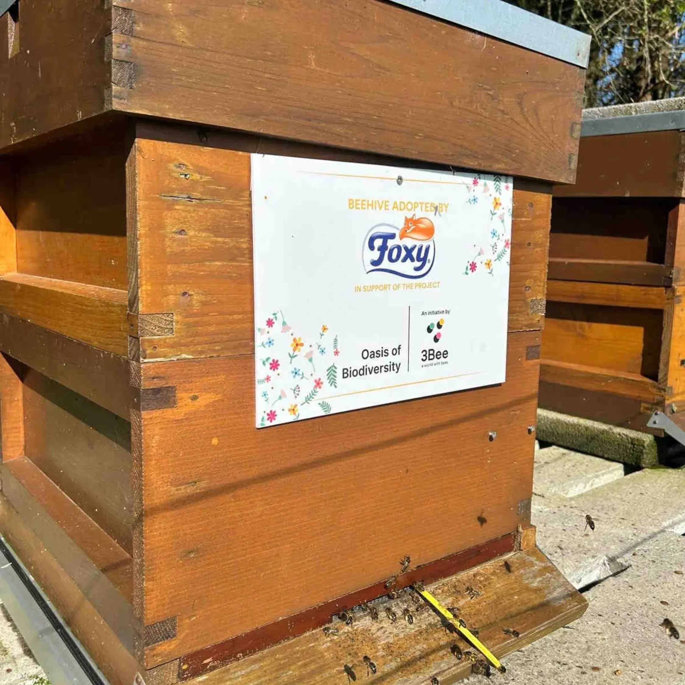 caseStudies.items.6.alt