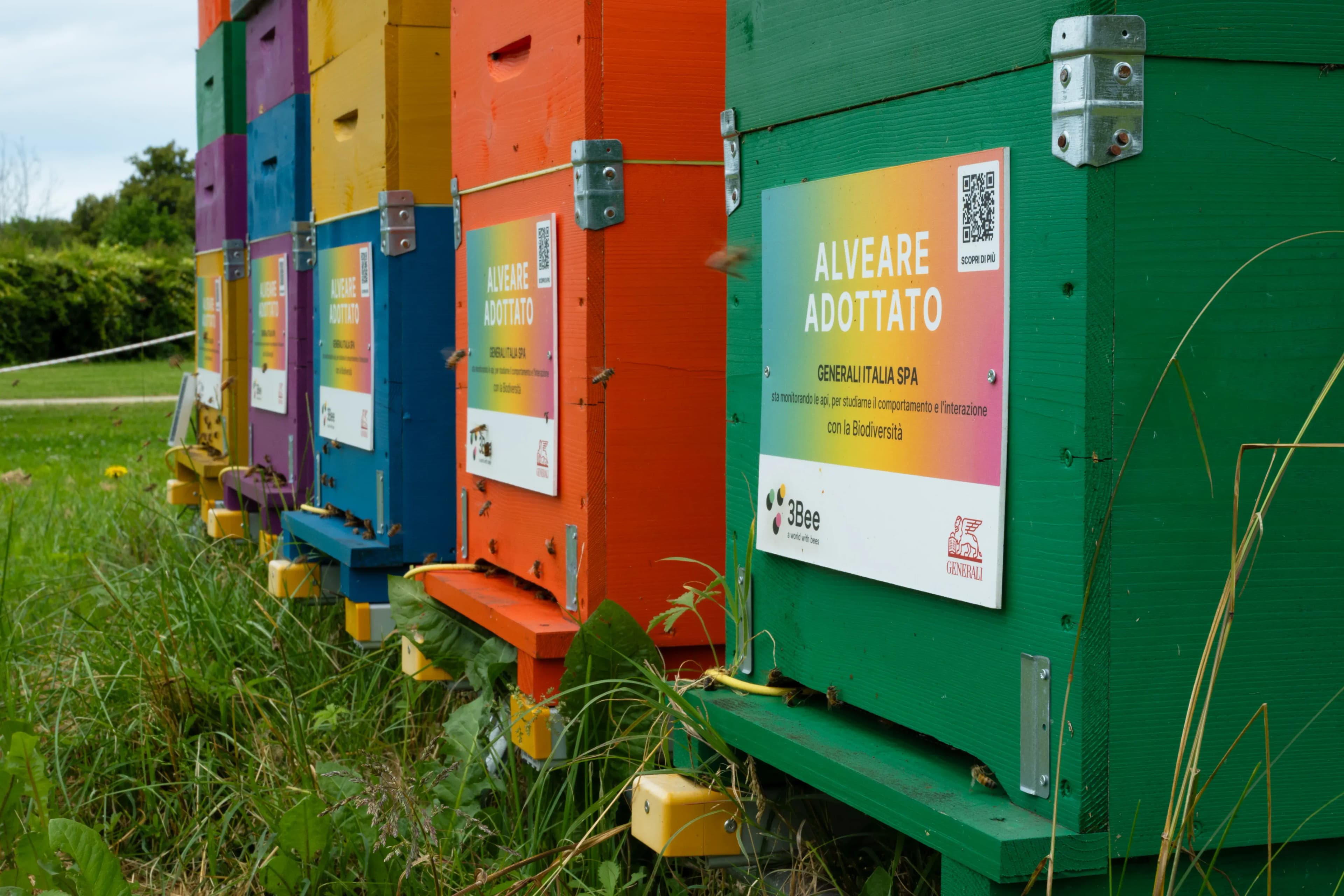 caseStudies.items.8.alt