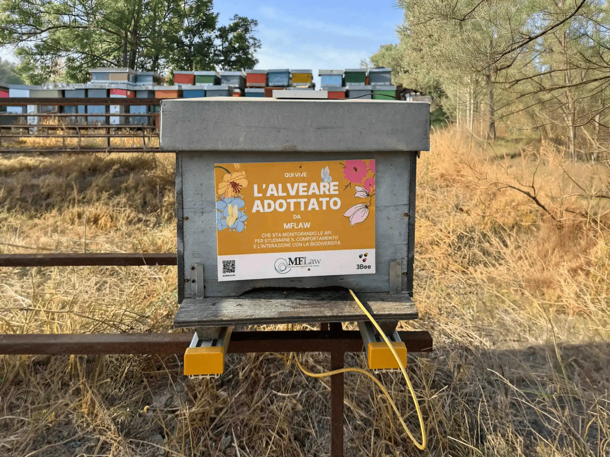 esgHive.items.11.alt