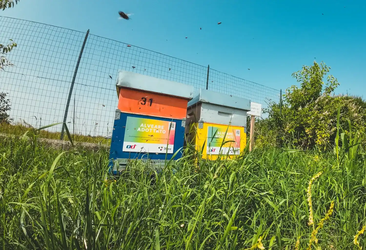 esgHive.items.13.alt