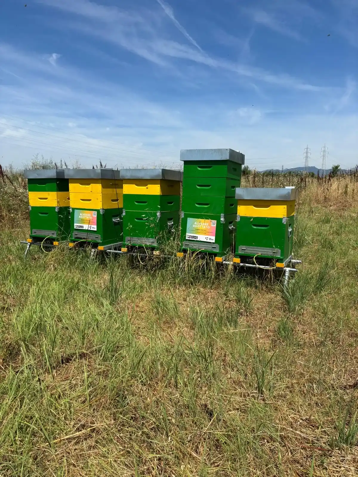 esgHive.items.15.alt