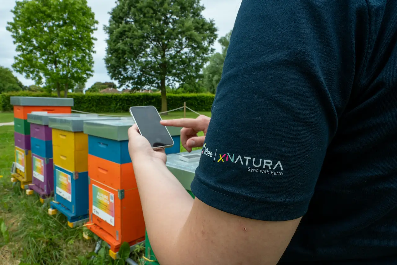 3Bee apiary for environmental biomonitoring with smart technology 3Bee technology for environmental biomonitoring with colorful hives and apps for bee monitoring