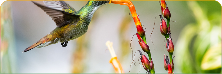 Are you an individual?